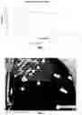 Fig. 02 - Probiotic strain