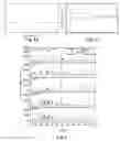 Fig. 02 - Pyrometallurgical method for obtaining compounds of lithium and intermediates from alpha-spodumene and lepidolite