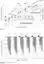 Fig. 03 - HIGH PERMEABILITY SOFT MAGNETIC ALLOY AND METHOD FOR THE PRODUCTION OF A HIGH PERMEABILITY SOFT MAGNETIC ALLOY