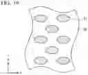 Fig. 07 - Manufacturing method of galvannealed steel sheet