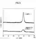 Fig. 05 - Strain gauge