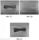 Fig. 02 - Bacterial derived nanocellulose textile material