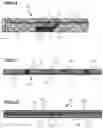 Fig. 06 - Relating to textiles incorporating electronic devices