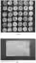 Fig. 03 - NONWOVEN NATURAL SILK FABRIC AND METHOD FOR PRODUCING SAME