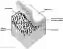 Fig. 01 - Surface enhanced pulp fibers at a substrate surface