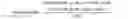 Fig. 02 - Sanitary tissue products
