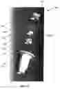 Fig. 03 - Cast-in place anchor with lockable jaw assembly