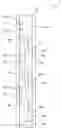 Fig. 01 - STRUCTURE BODY AND COMPOSITE STRUCTURE BODY