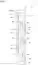 Fig. 02 - STRUCTURE BODY AND COMPOSITE STRUCTURE BODY