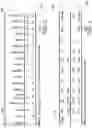 Fig. 03 - System and method to evaluate kerogen-rich shale