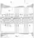 Fig. 03 - GEOLOGICAL SETTINGS PRONE TO CASING DEFORMATION POST HYDRAULIC FRACTURE INJECTION