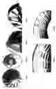 Fig. 05 - METHOD FOR CONSTRUCTING ENGINES OR MOTORS CONTAINED IN A CYLINDRICAL CASING