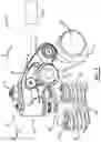 Fig. 02 - Engine braking castellation mechanism