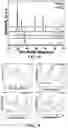 Fig. 07 - Passive NOx adsorption and decomposition