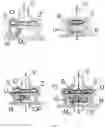 Fig. 03 - Flow hydro turbine
