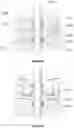 Fig. 10 - High viscosity pumping system and method of using same