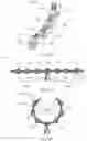 Fig. 15 - DEVICES AND SYSTEMS FOR PRODUCING ROTATIONAL ACTUATION