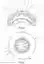 Fig. 06 - Brake disc for a disc brake and method