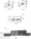 Fig. 05 - Designing lattice structures for heat dissipation devices