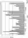 Fig. 06 - Apparatus for identifying substances