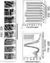 Fig. 37 - Plasmonic patch as a universal fluorescence enhancer
