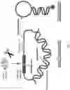Fig. 02 - Enzyme transducers and sensors based on DNA loops