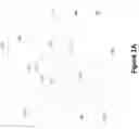 Fig. 02 - Laser intensity calibration