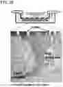 Fig. 41 - In vitro model for pathological or physiologic conditions
