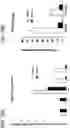 Fig. 44 - In vitro model for pathological or physiologic conditions