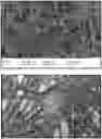 Fig. 01 - Device and method for multidimensional cell culture