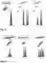Fig. 23 - METHODS AND COMPOSITIONS FOR DETERMINING THE PRESENCE OR ABSENCE OF DNA ABERRATIONS