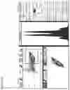 Fig. 42 - METHODS AND COMPOSITIONS FOR DETERMINING THE PRESENCE OR ABSENCE OF DNA ABERRATIONS