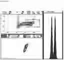 Fig. 45 - METHODS AND COMPOSITIONS FOR DETERMINING THE PRESENCE OR ABSENCE OF DNA ABERRATIONS