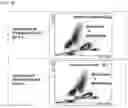 Fig. 06 - Method for classifying/counting leukocytes, reagent kit for classifying leukocytes, and reagent for classifying leukocytes