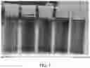 Fig. 08 - A NANOPARTICLE-BASED TELOMERASE ASSAY