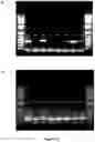 Fig. 25 - Methods for assaying cellular binding interactions