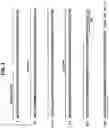 Fig. 02 - Soluble B7-H1