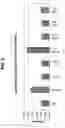 Fig. 07 - Soluble B7-H1