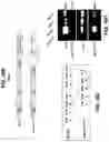 Fig. 12 - Soluble B7-H1