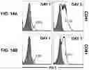 Fig. 16 - Soluble B7-H1