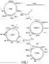 Fig. 02 - Isolating Cells Expressing Secreted Proteins
