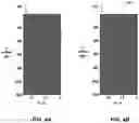 Fig. 05 - Wave velocity determination for seismic imaging