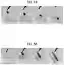 Fig. 06 - LENS FOR MEDICAL DEVICE AND MANUFACTURING METHOD THEREOF