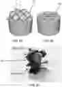 Fig. 10 - Microsphere based patterning of metal optic/plasmonic sensors including fiber based sensors
