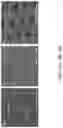 Fig. 27 - Microsphere based patterning of metal optic/plasmonic sensors including fiber based sensors