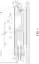 Fig. 05 - Optical transceiver
