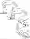 Fig. 01 - Methods for clearing, mounting, and preserving specimens used in optical microscopy