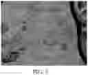 Fig. 04 - Methods for clearing, mounting, and preserving specimens used in optical microscopy