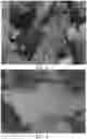 Fig. 03 - Clearing solutions and related methods for clearing biological specimens used in optical microscopy