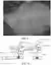 Fig. 04 - Clearing solutions and related methods for clearing biological specimens used in optical microscopy
